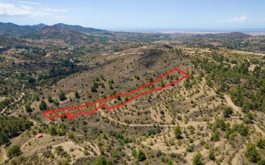 Agricultural field in Xyliatos, Nicosia