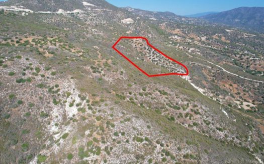 Agricultural field in Akrounta, Limassol