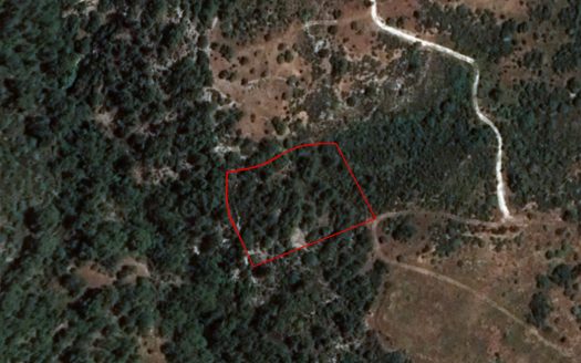 Field in Dora, Limassol