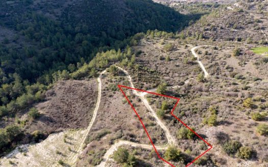 Field in Dora, Limassol