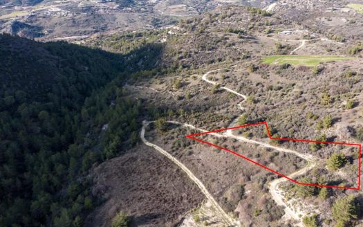 Field in Dora, Limassol