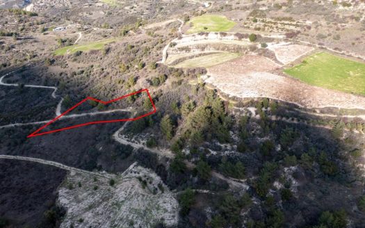 Field in Dora, Limassol