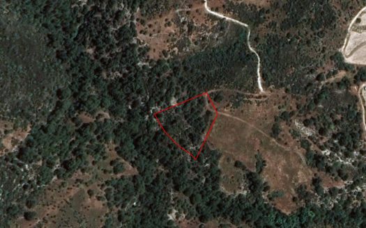 Field in Dora, Limassol