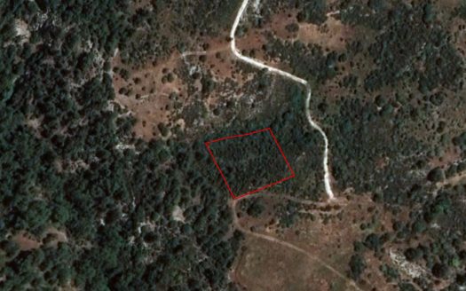 Field in Dora, Limassol