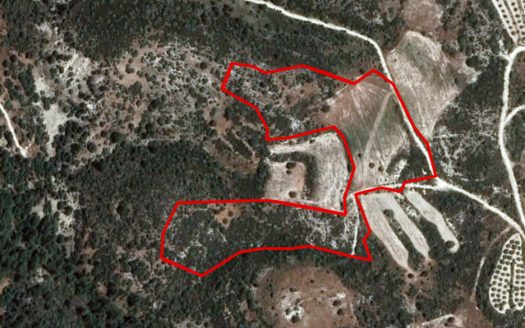 Field in Dora, Limassol