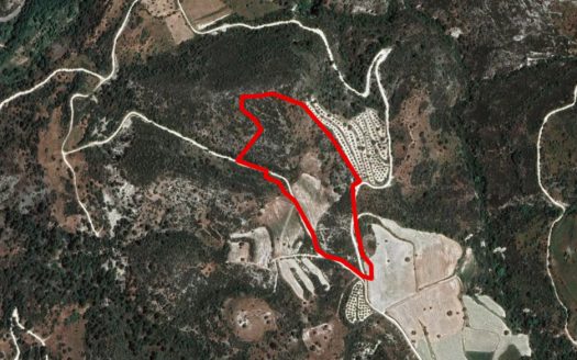 Field in Dora, Limassol