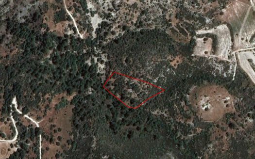 Field in Dora, Limassol