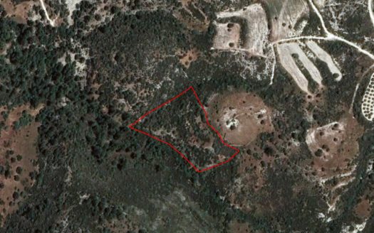 Field in Dora, Limassol