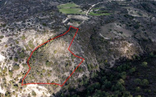 Field in Dora, Limassol