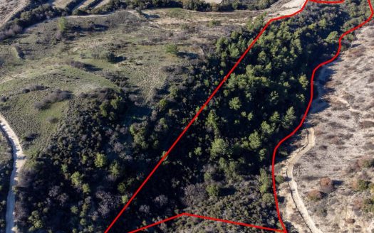 Field in Mousere, Paphos