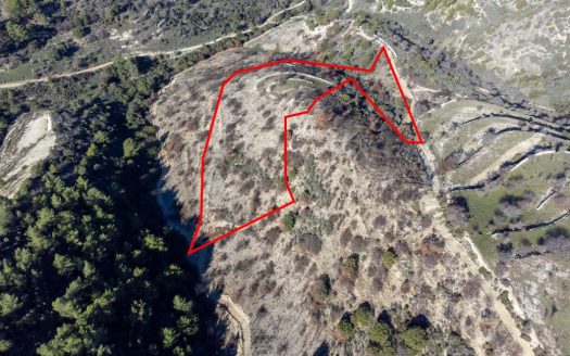 Field in Mousere, Paphos