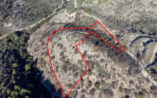 Field in Mousere, Paphos