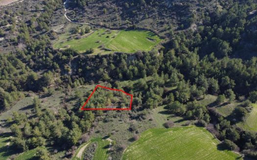 Field in Mousere, Paphos