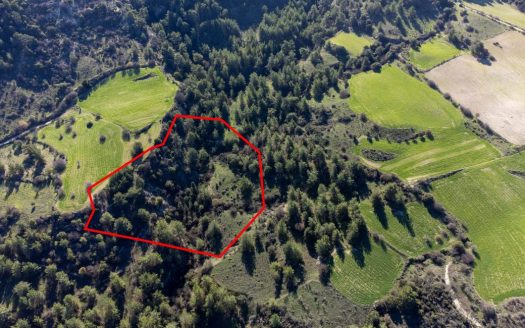 Field in Mousere, Paphos