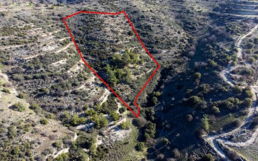 Field in Mousere, Paphos