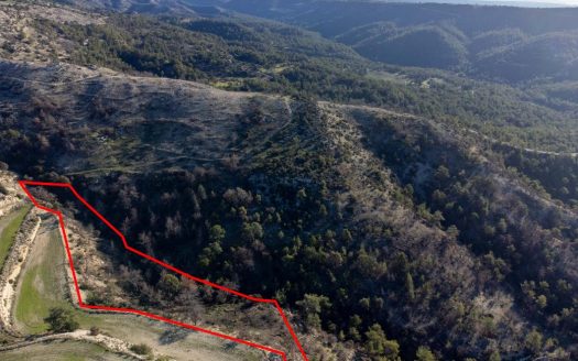 Field in Pano Archimandrita, Paphos