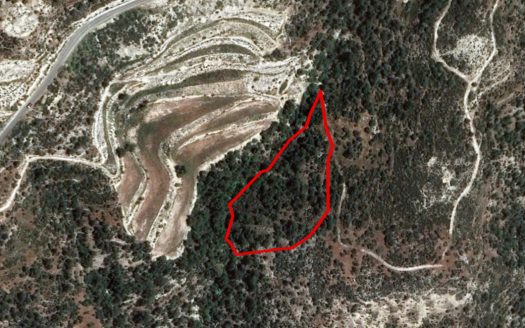 Field in Pano Archimandrita, Paphos