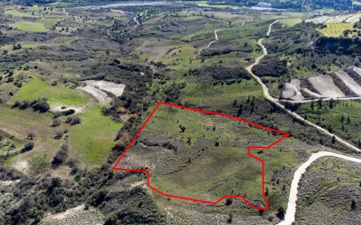 Field in Trachypedoula, Paphos