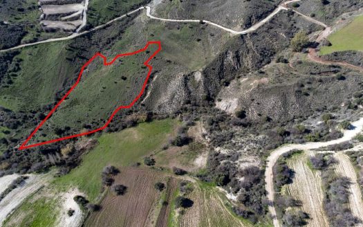 Field in Trachypedoula, Paphos