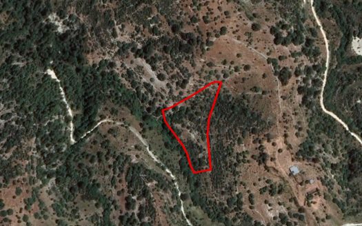 Field in Mousere, Paphos