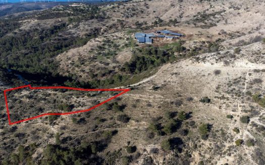 Field in Mousere, Paphos