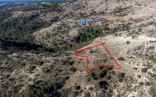 Field in Mousere, Paphos