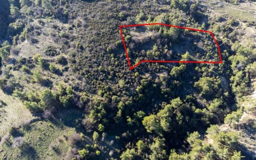 Field in Mousere, Paphos