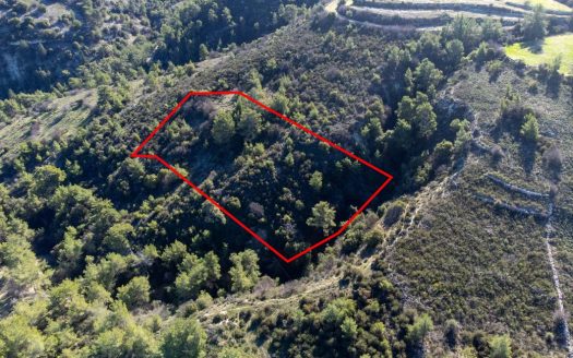 Field in Mousere, Paphos