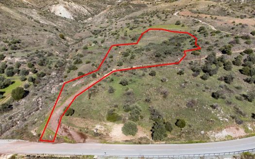 Shared field in Trachypedoula, Paphos