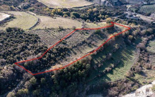 Field in Dora, Limassol