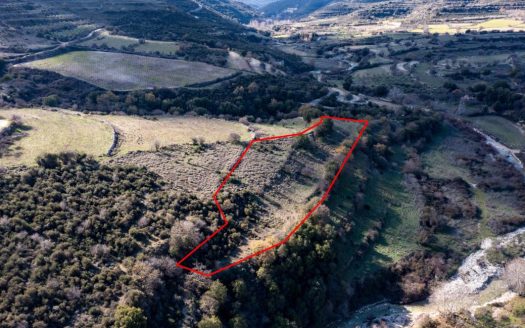 Field in Dora, Limassol