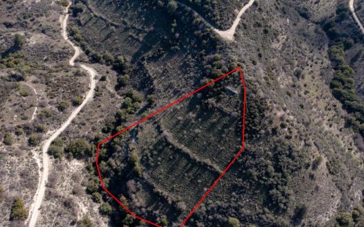 Field in Dora, Limassol