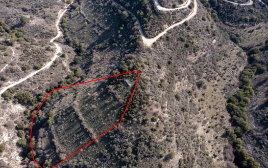 Field in Dora, Limassol