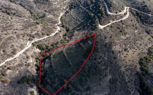 Field in Dora, Limassol