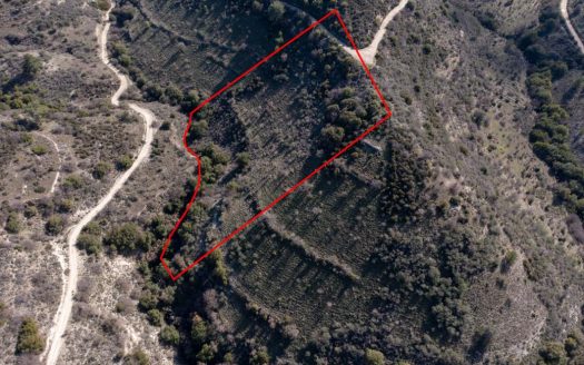 Field in Dora, Limassol