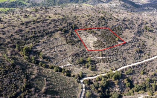 Field in Dora, Limassol