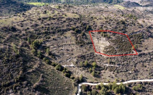 Field in Dora, Limassol