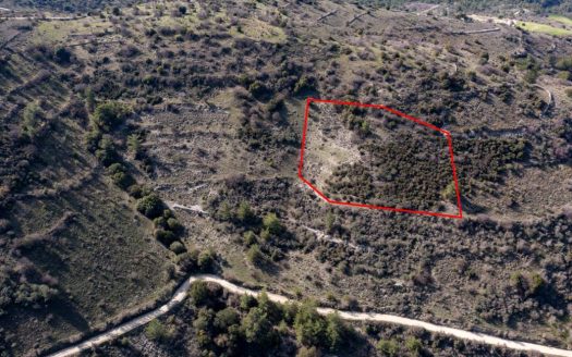 Field in Dora, Limassol