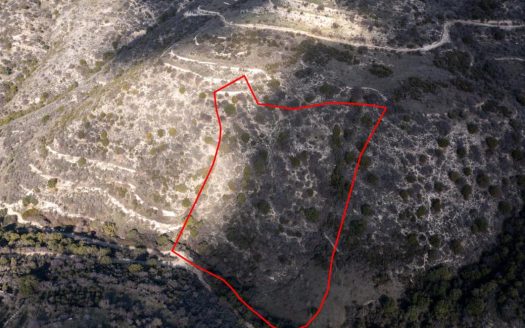 Field in Dora, Limassol