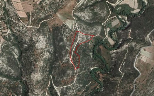 Field in Dora, Limassol