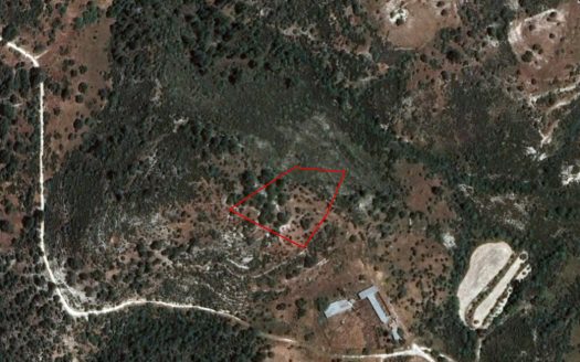 Field in Dora, Limassol