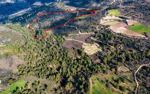 Shared field in Dora, Limassol