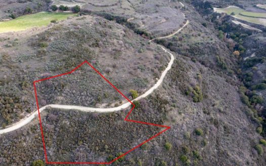 Field in Dora, Limassol