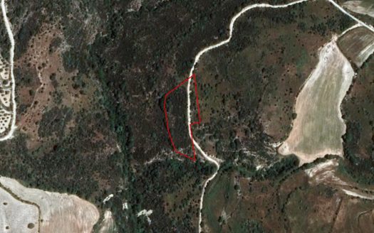 Field in Dora, Limassol