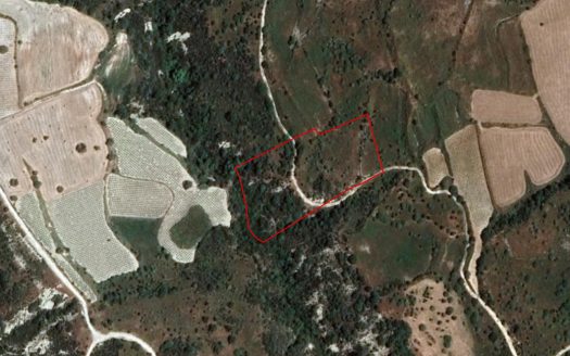 Field in Dora, Limassol