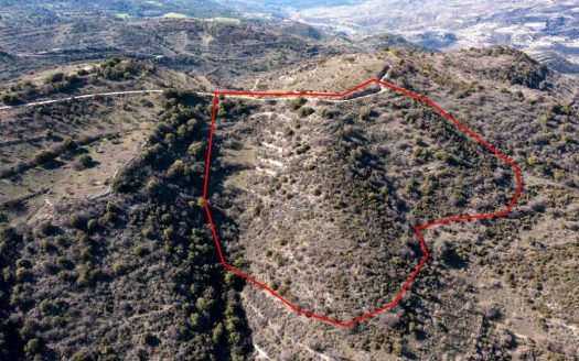 Field in Dora, Limassol