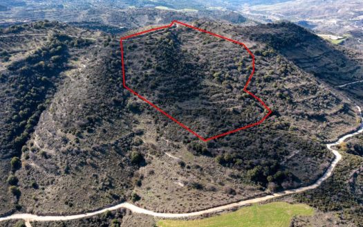 Field in Dora, Limassol