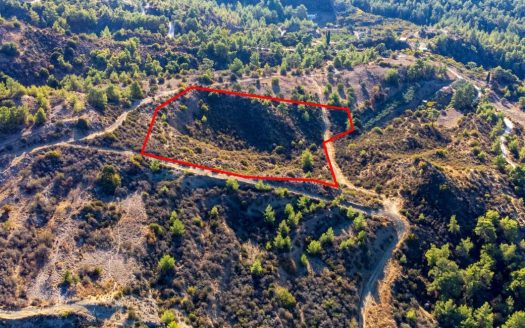 Agricultural field in Kynousa, Paphos