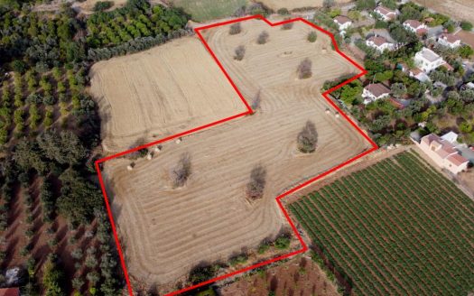 Field in Agios Theodoros, Larnaca