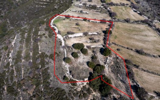 Field in Dora, Limassol